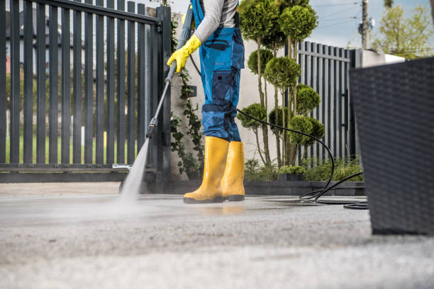 Best Solar Panel Cleaning  in West Wood, UT